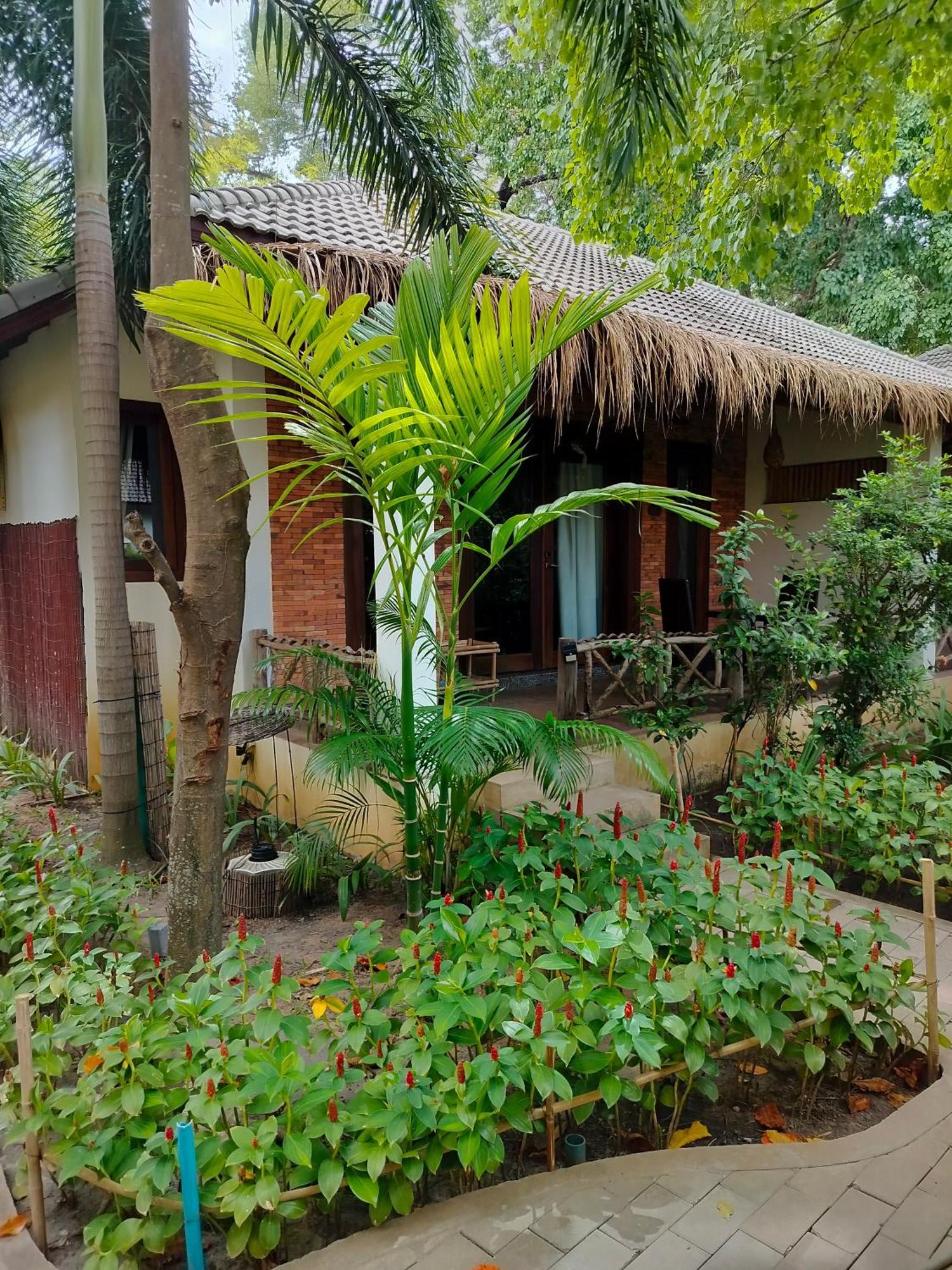 La Riviere D' Angkor Resort Siem Reap Eksteriør billede