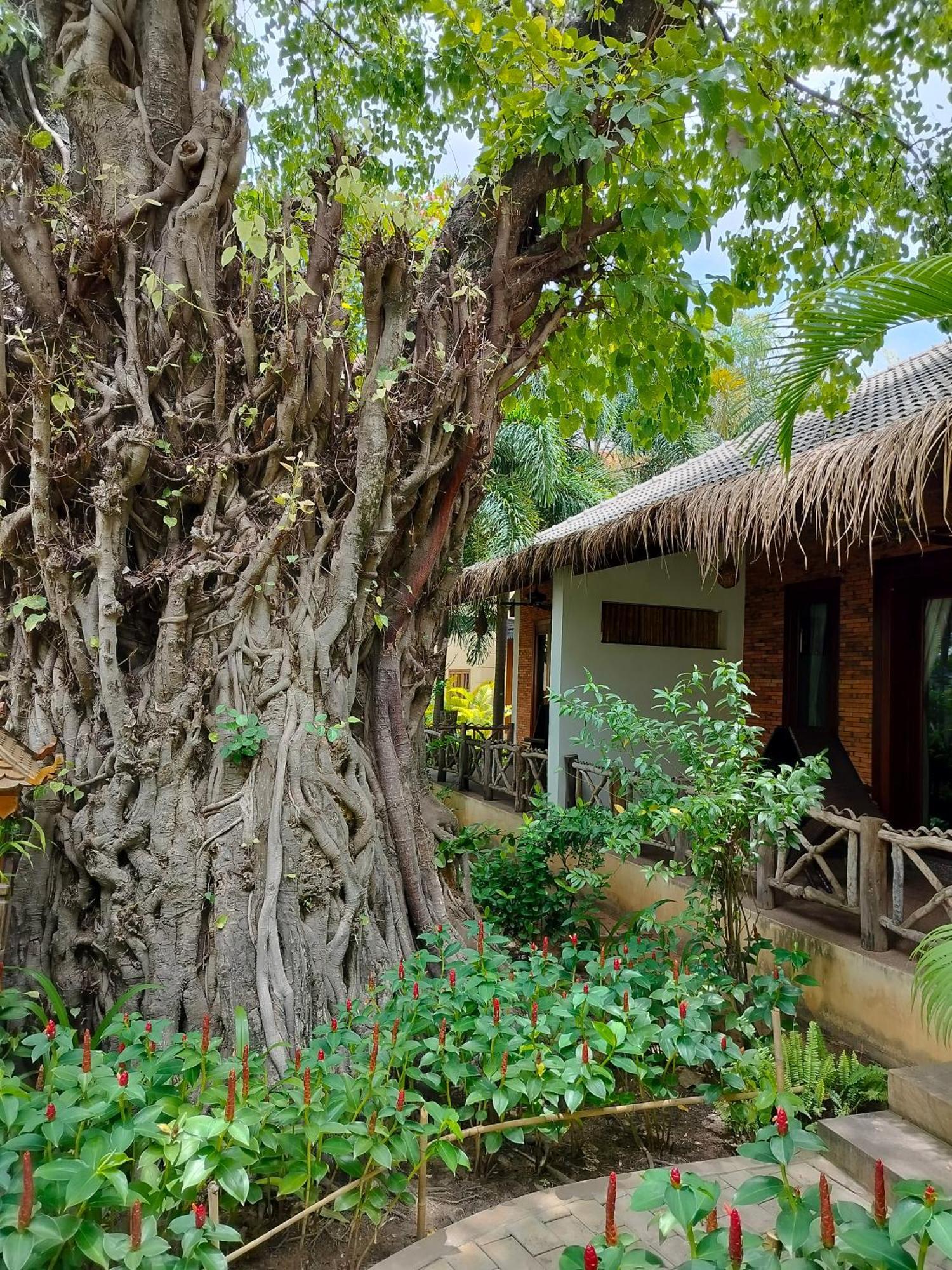 La Riviere D' Angkor Resort Siem Reap Eksteriør billede
